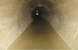 Sewer diversion
 image